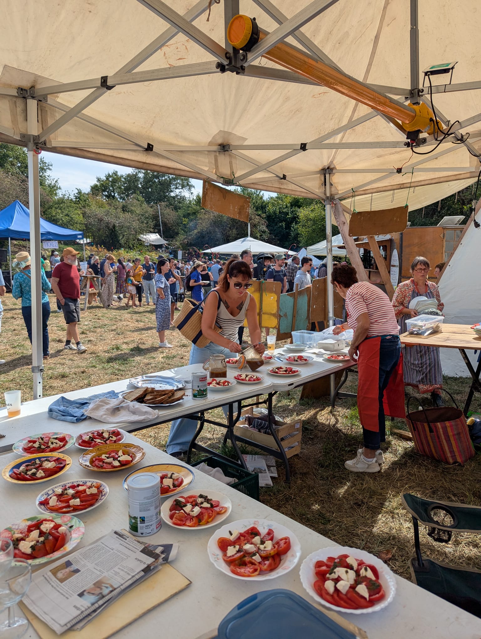 Restauration BD salades